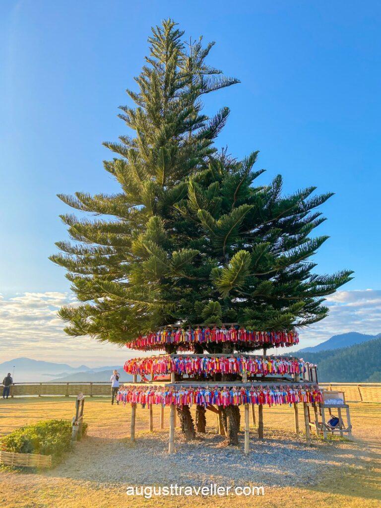 雲來觀景台(YunLai View Point)