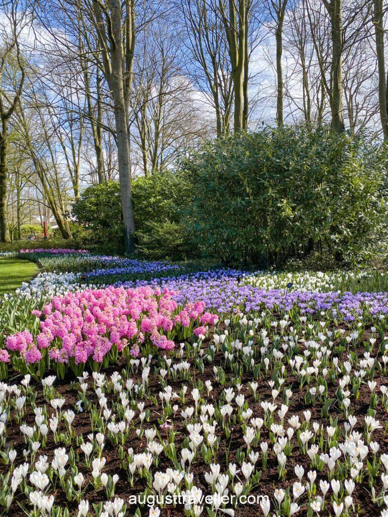 Keukenhof