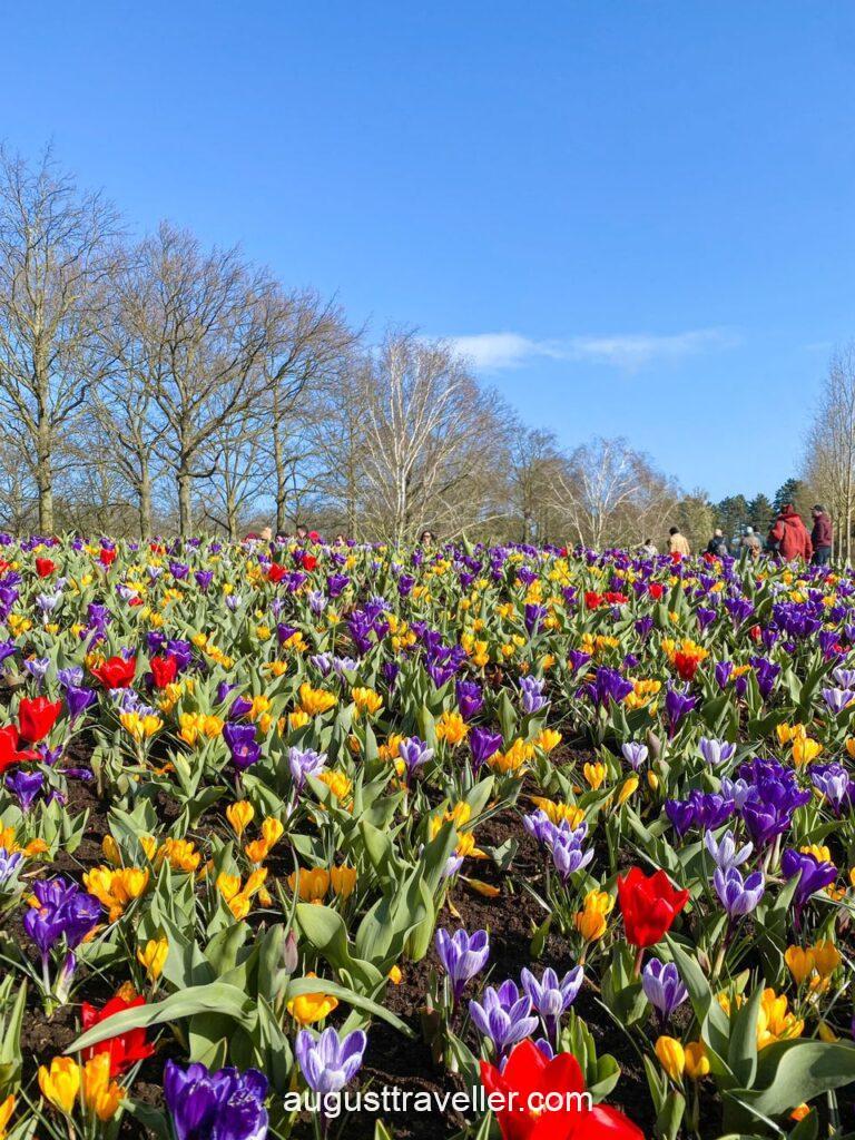 Keukenhof