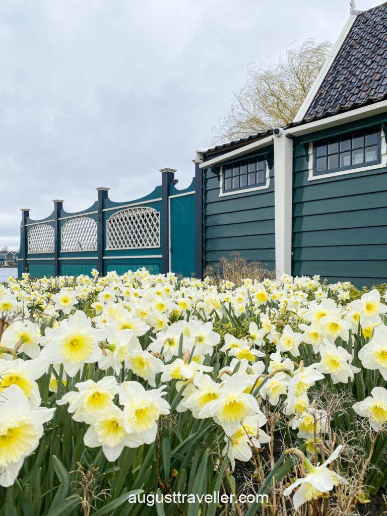 贊斯安斯風車村Zaanse Schans